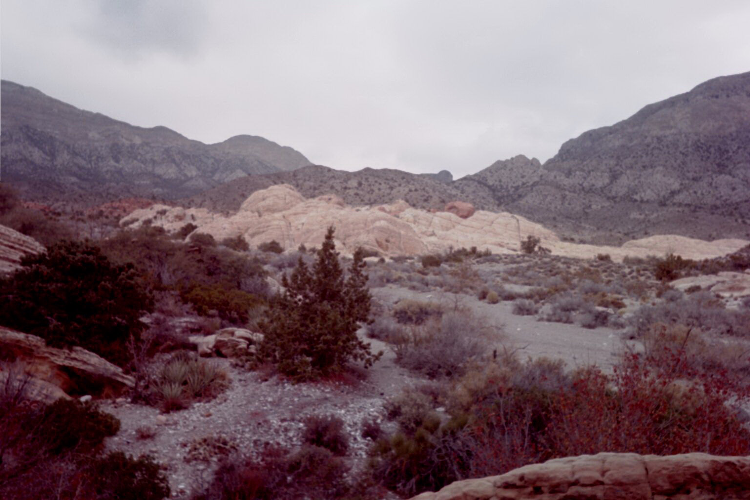 Breathtaking view of the Spring Mountains.  Nevada