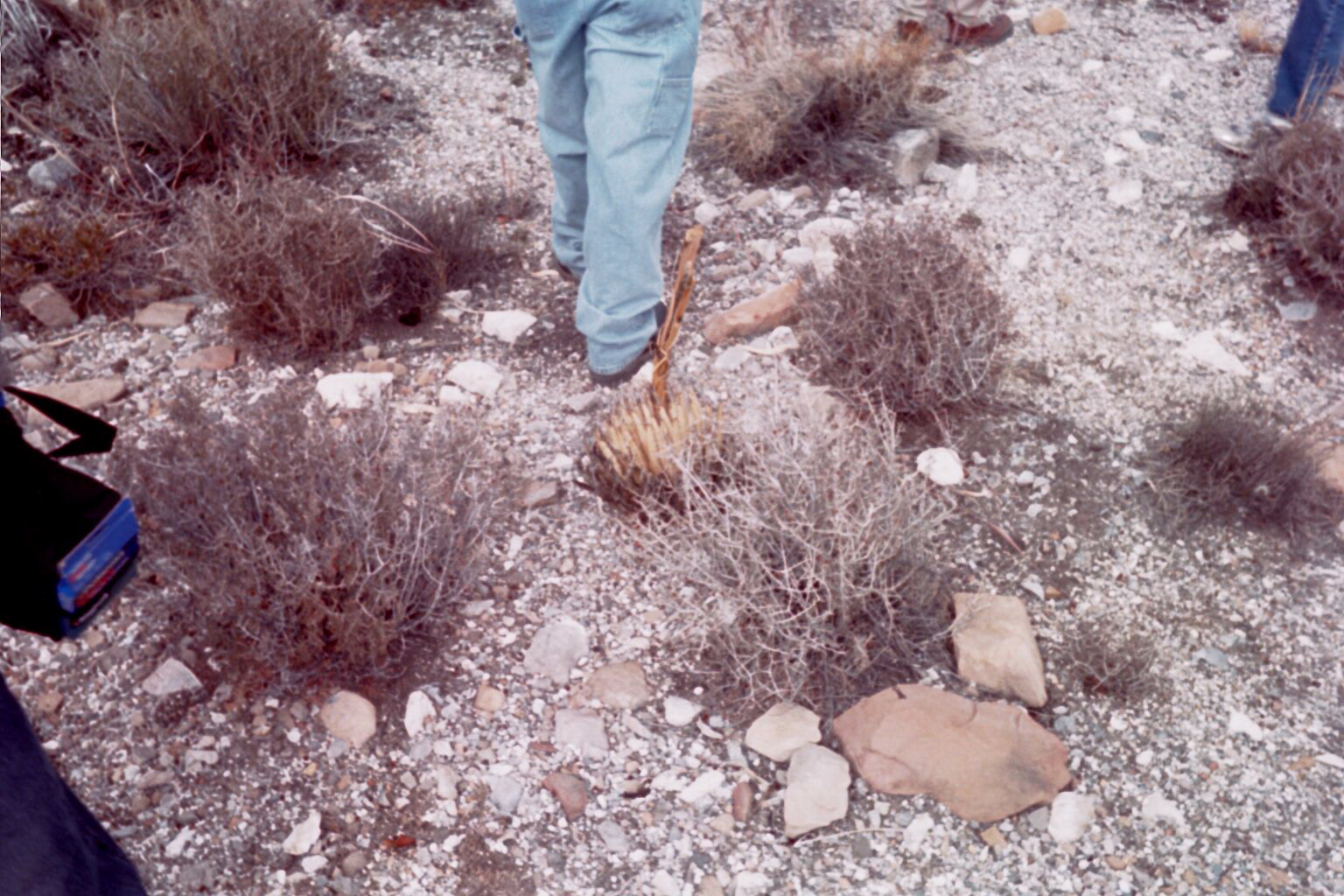 img18.jpg