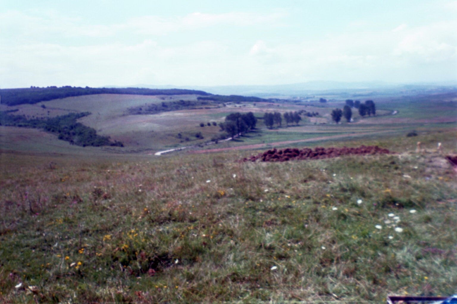 Romanian Countryside as viewed from Tumulus